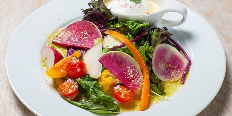 ラミン（Lammin）