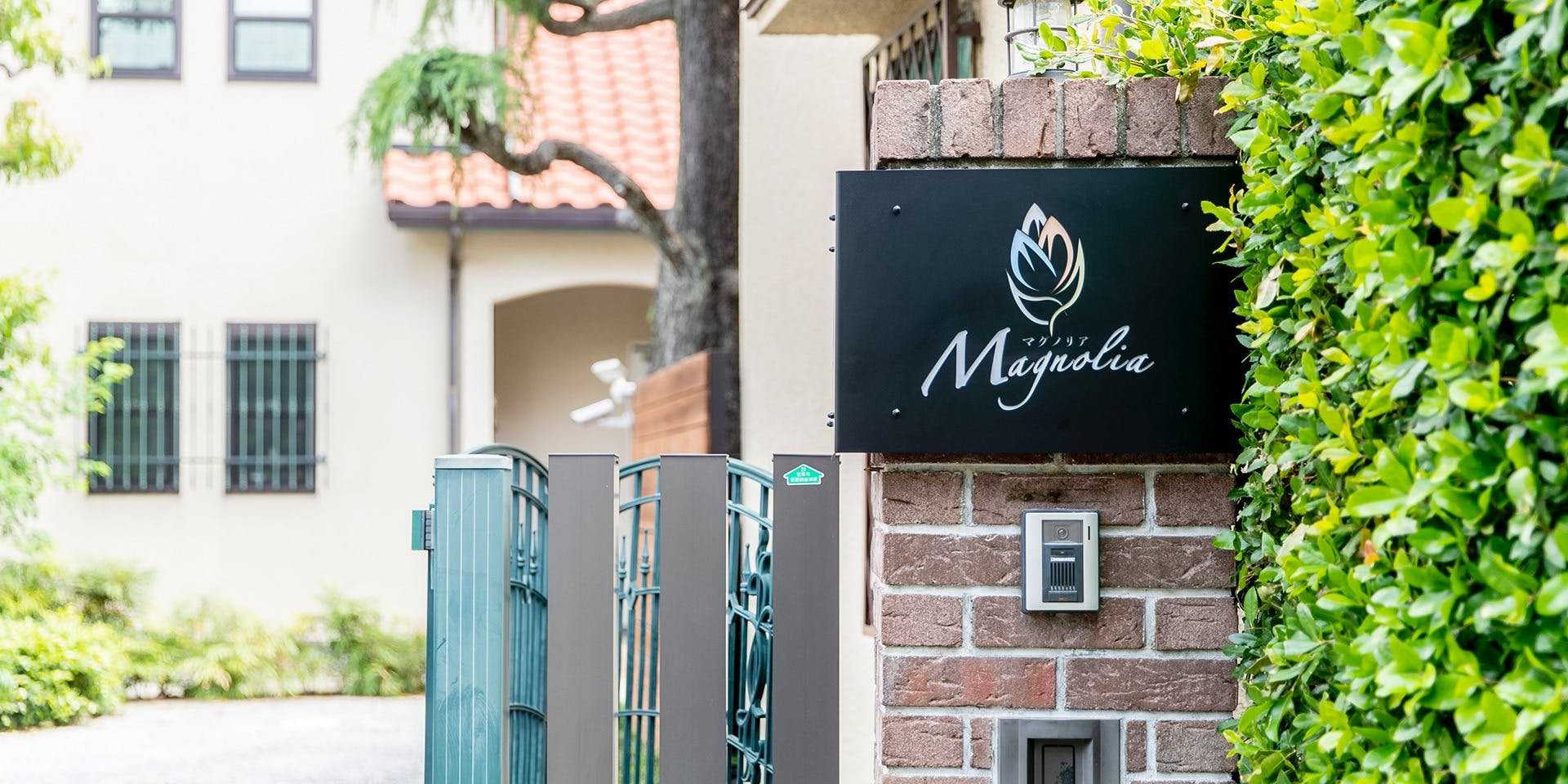 マグノリア - 画像4