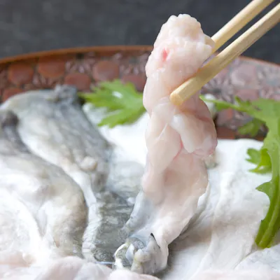 希少な種類の鯨を豊富に