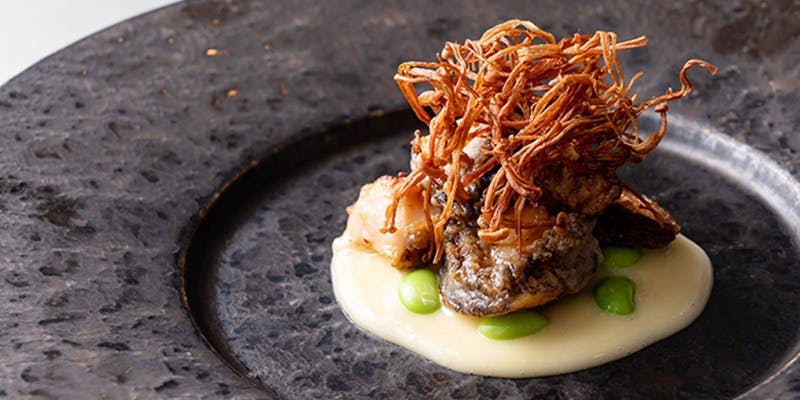 Arashida（アラシダ）