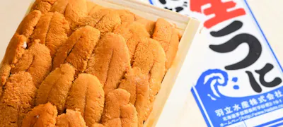 22年 最新 赤坂駅周辺の美味しいディナー30店 夜ご飯におすすめな人気店 一休 Comレストラン 22年 最新 赤坂駅周辺の美味しいディナー30店 夜ご飯におすすめな人気店 一休 Comレストラン
