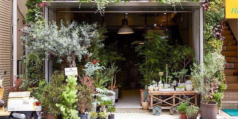 エメ（Eme） 3枚目