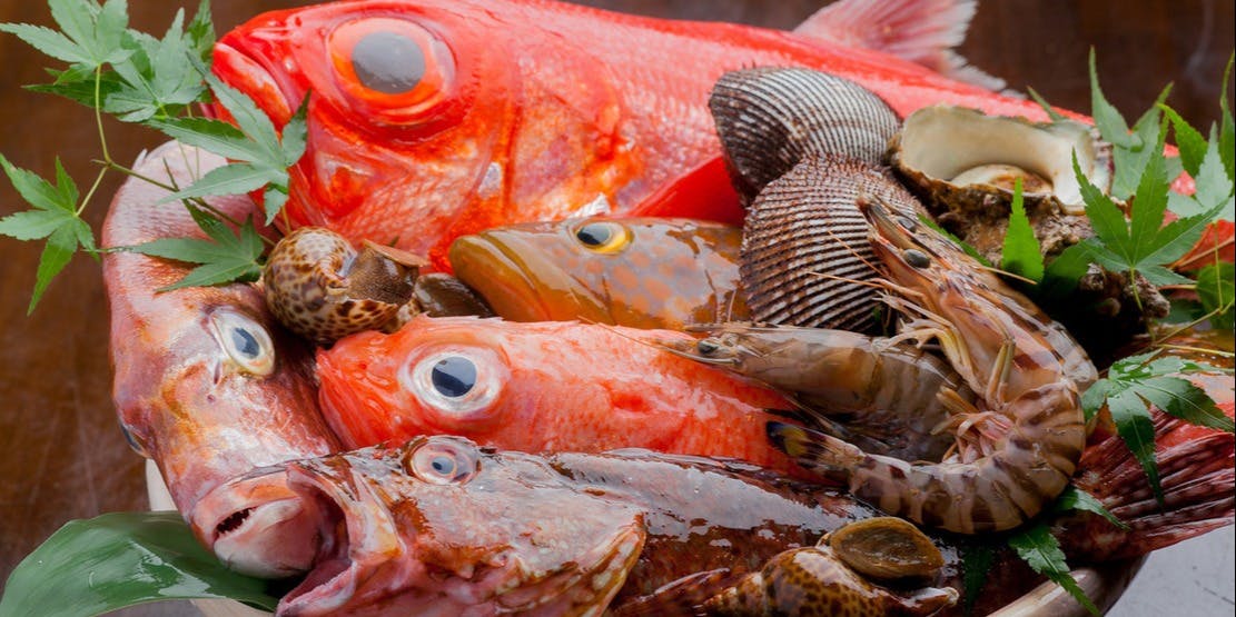 旬の魚と四季の日本酒 福島鈴庵