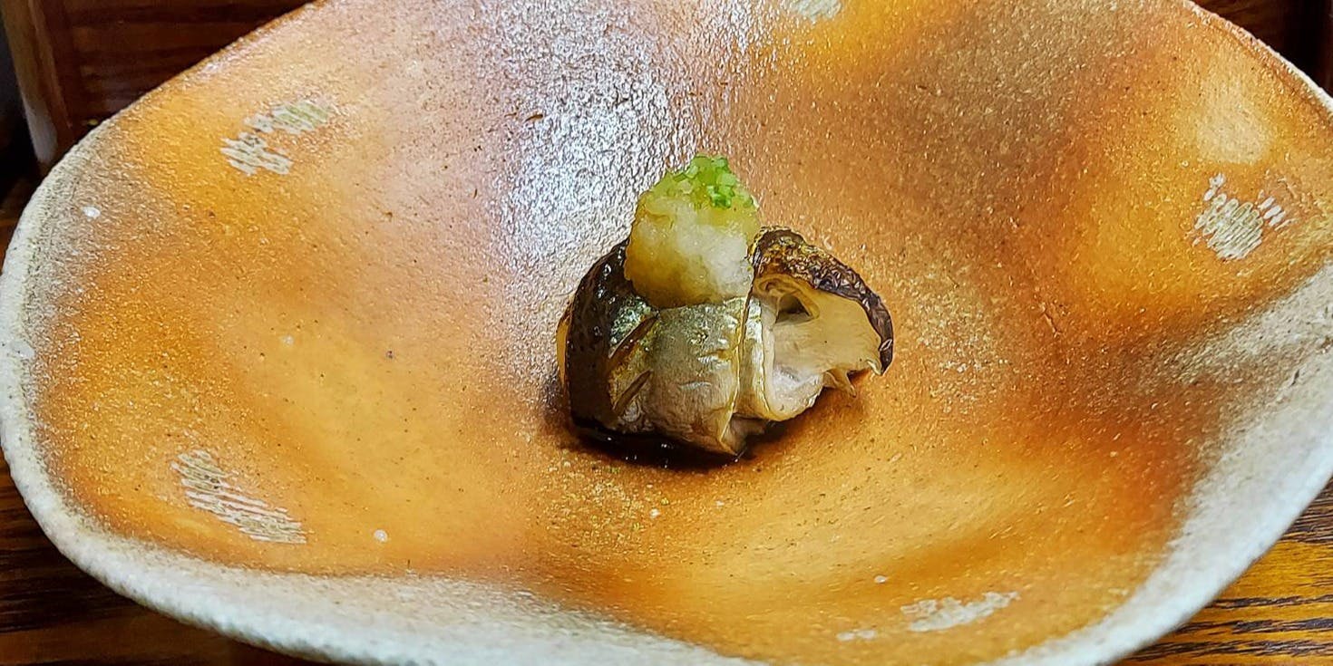 高瀬川 槇（タカセガワ マキ）