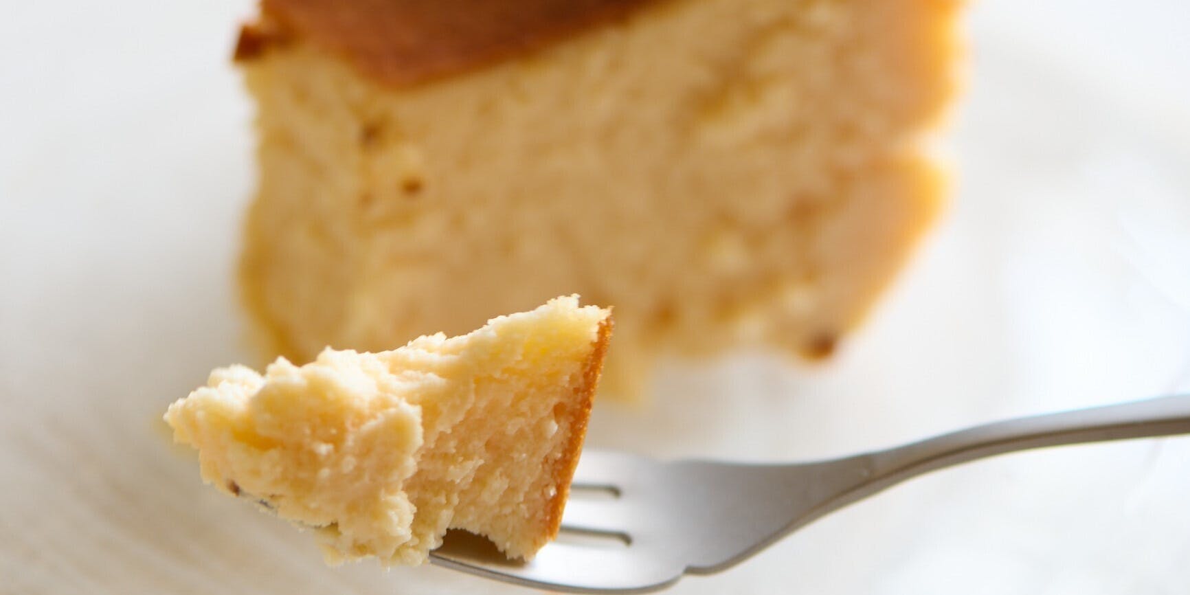 biotable. - 画像14