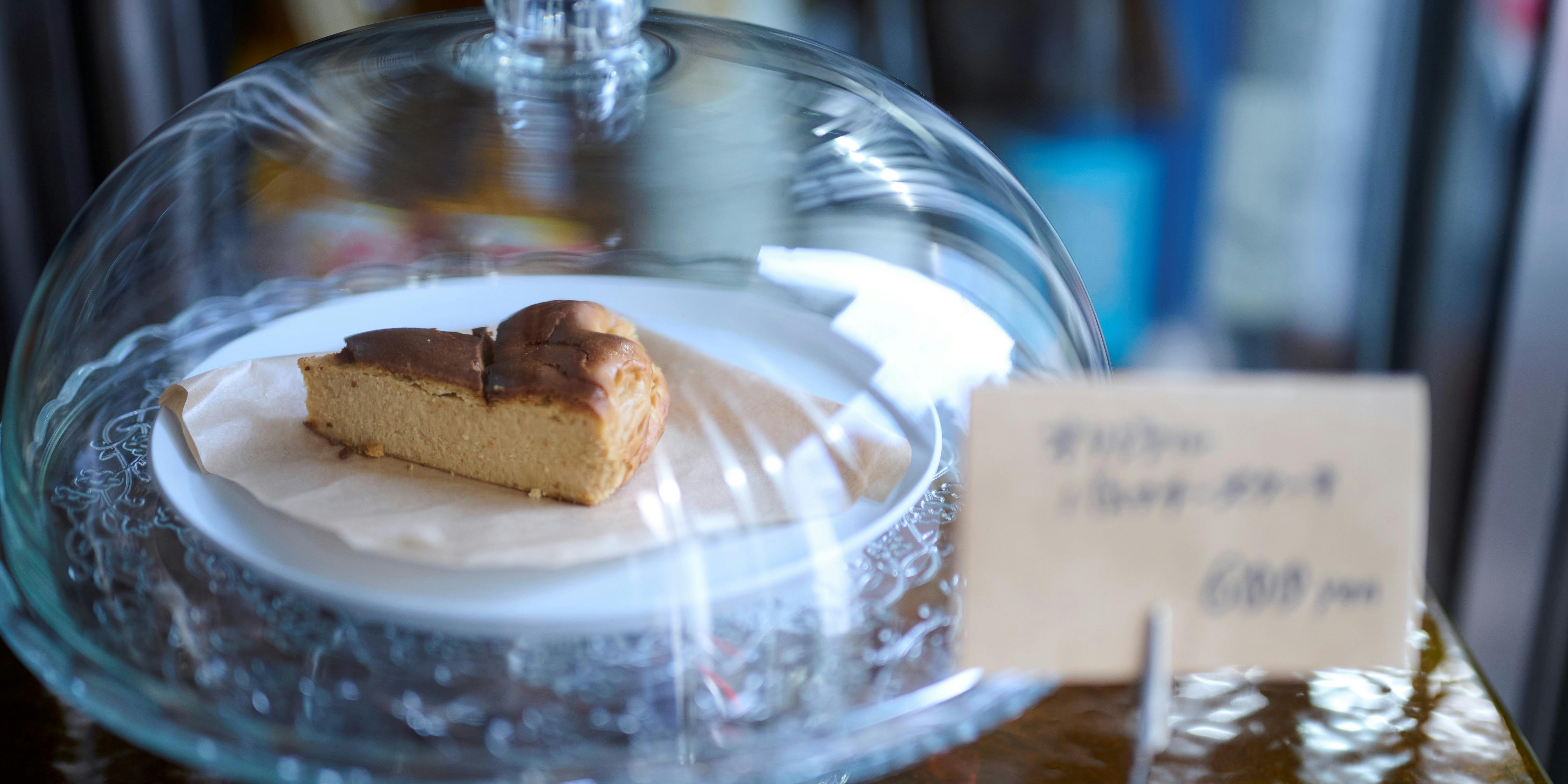 biotable. - 画像12