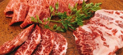 府中駅周辺の美味しいランチ18店 おしゃれ人気店 絶品ランチグルメ 22年 一休 Comレストラン 府中駅周辺の美味しいランチ18店 おしゃれ人気店 絶品ランチグルメ 22年 一休 Comレストラン