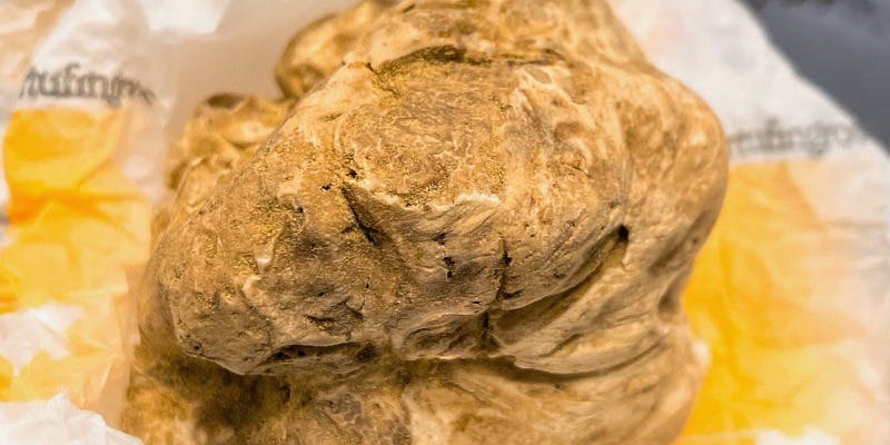 Egoiste cuisine francaise - 画像21