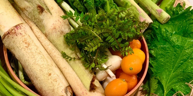 【Ryuda おまかせコース】松坂牛・旬の食材、生牡蠣、小鍋などデザート付き全7品