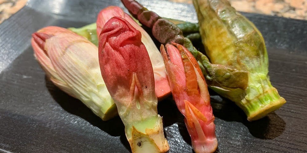 四季旬菜まんま