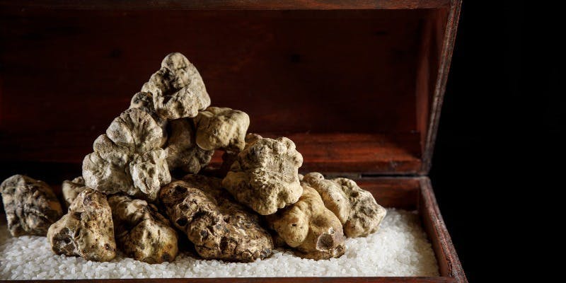 西麻布 焼肉 X（ヤキニクテン・YAKINIKU TEN）