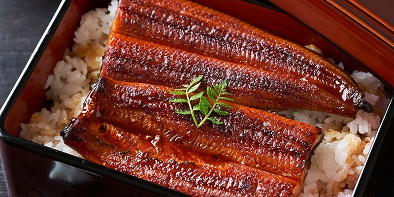 博多駅周辺のうなぎが楽しめるおすすめレストラントップ2 一休 Comレストラン