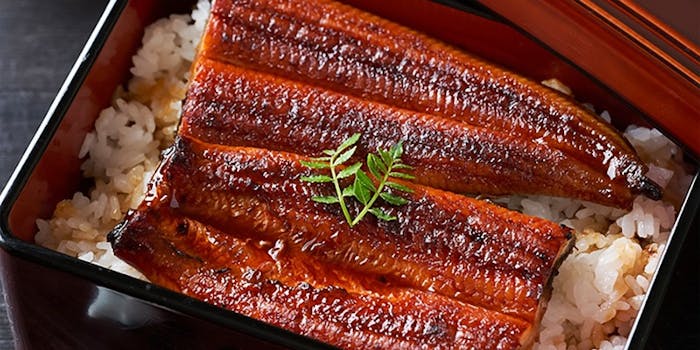 博多駅周辺のうなぎが楽しめるおすすめレストラントップ2 一休 Comレストラン 博多駅周辺のうなぎが楽しめるおすすめレストラントップ2 一休 Comレストラン