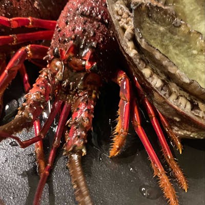 食通の方にもお愉しみ頂ける鉄板フレンチコース