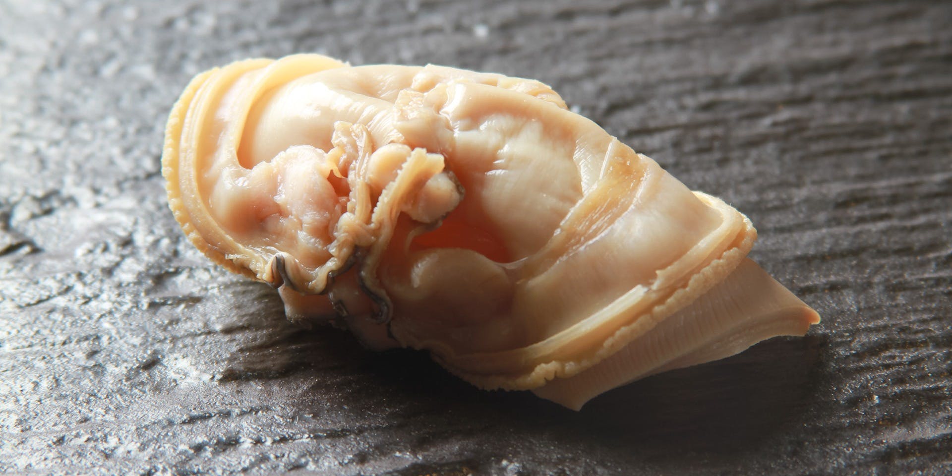 鮨 つきうだ - 画像4