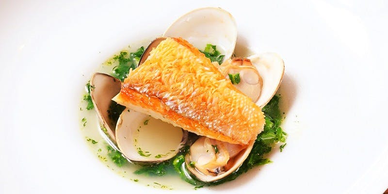 Bistro topology - 画像7