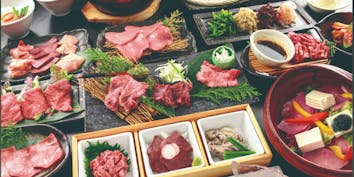【宴コース】肉刺身3種、焼しゃぶおろしポン酢、ハラミ3種、選べる〆など全13品 - 肉匠 牛虎 心斎橋店