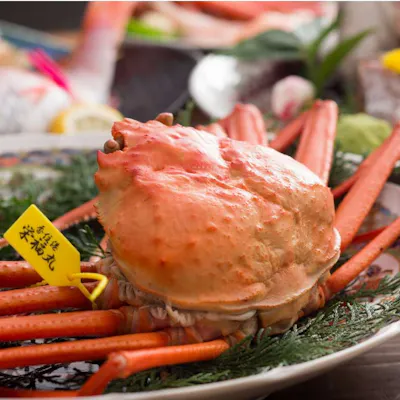 最高の魚介類を仕入に漁港へ