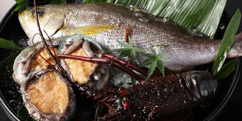 【ドルチェ】食材の栄養価にこだわった厳選黒毛和牛A5サーロインステーキを一度に楽しめるユーモアなコース