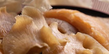 【ヨシキリザメ尾鰭コース】ヨシキリザメの肉厚尾鰭の上海煮込みなど 全8品 - chinois 蓮歩
