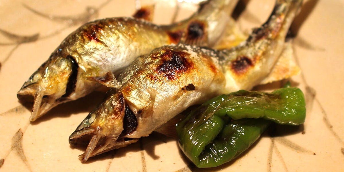 御所 岩さき - 画像8