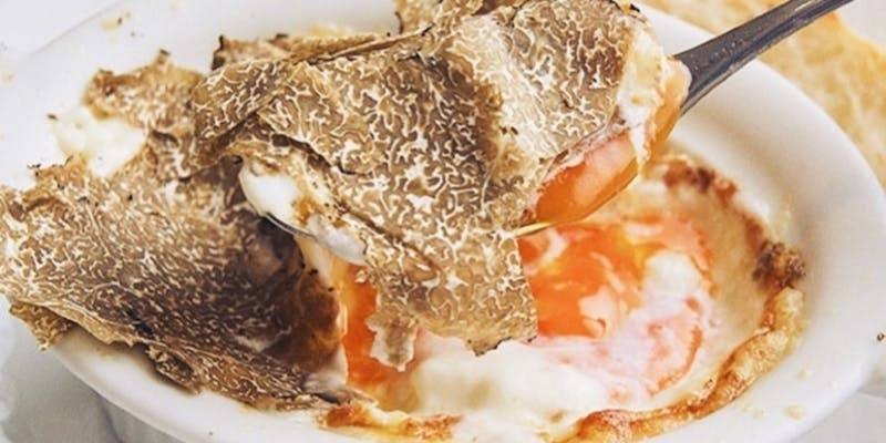 【Dinner】Regionale　全8品からなるイタリア郷土料理コース＋乾杯シャンパン（半額）