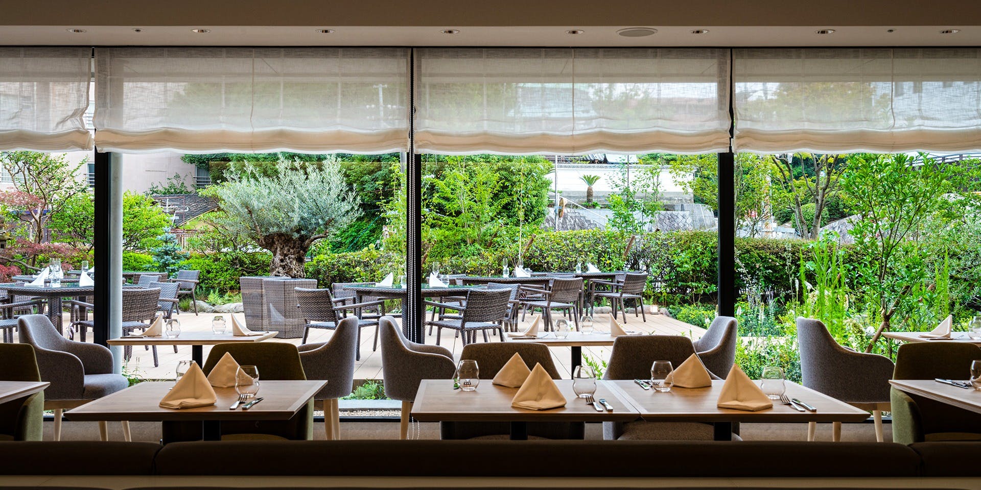 LA CUISINE JAPONAISE 玻璃／茶玻瑠 - 画像2