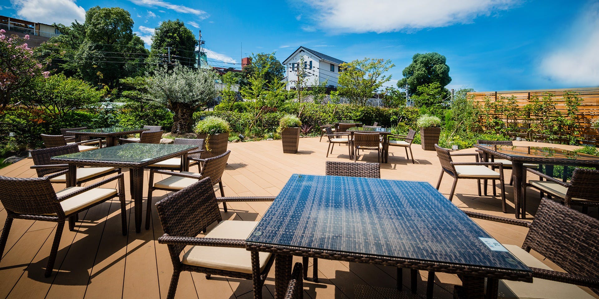 LA CUISINE JAPONAISE 玻璃／茶玻瑠 - 画像3