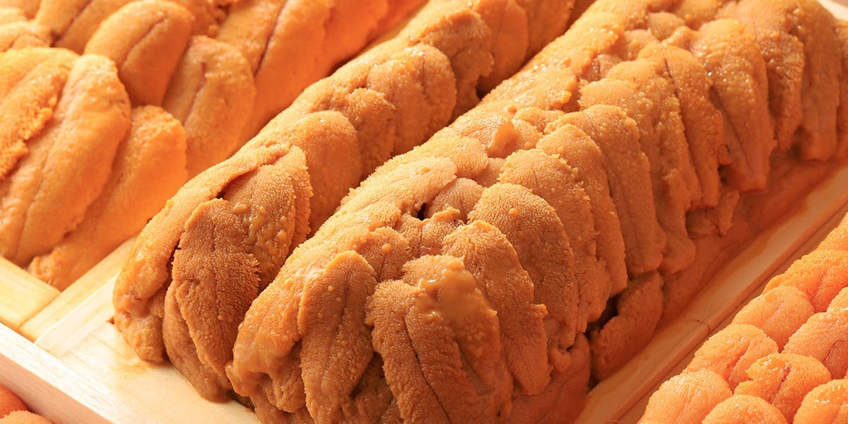 柏 鮨 柏雲 - 画像12