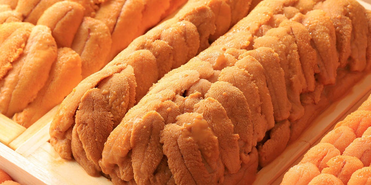 柏 鮨 柏雲 - 画像4