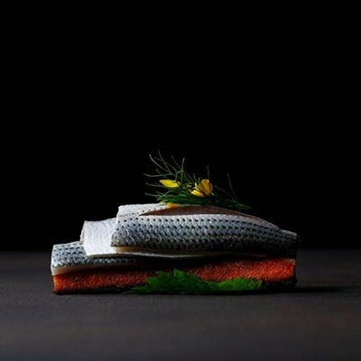 日本の旬の食材と、東流スパニッシュとの幸福な出会い