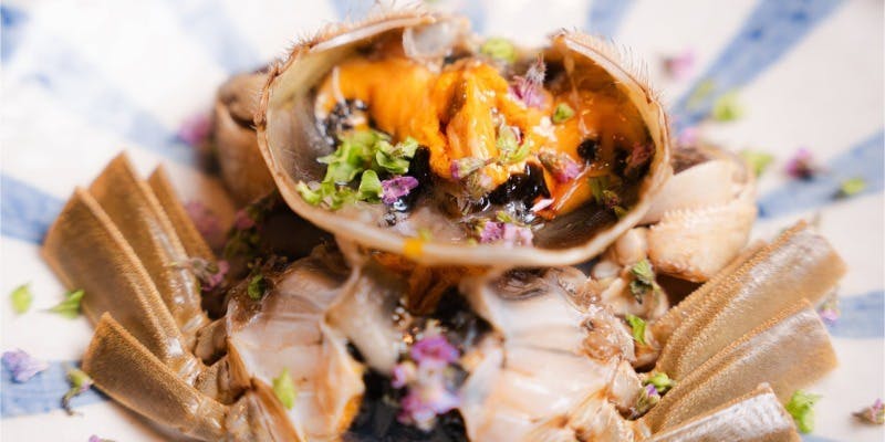 中華Aoki 恵比寿 厳選上海蟹コース 期間限定！季節の上海蟹料理を厳選