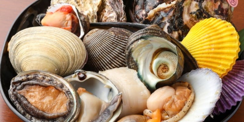 【貝づくしコース】人気のおすすめ　旬の貝が楽しめる　全11品