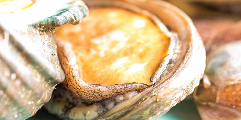 ヒル薬膳粥・ヨル貝料理カイノクチ - 画像4