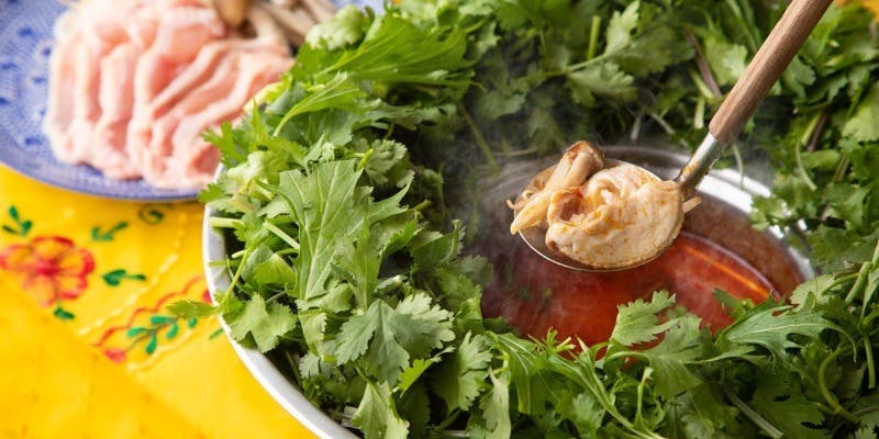 パクチー好きにぴったり！パクチーをたっぷり使った【パクチー満喫コース】全9品メインは大人気パクチー鍋