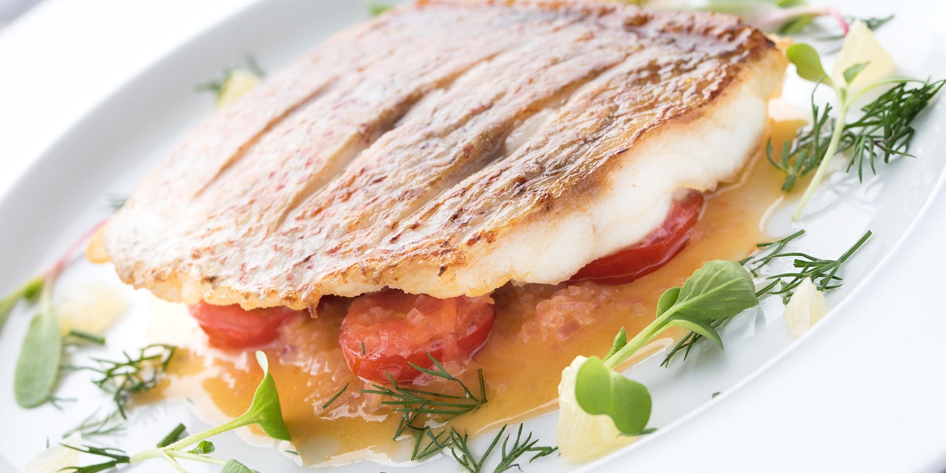 ピパル（pipal）