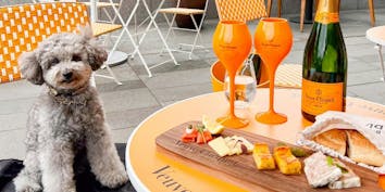 【記念日プラン】～愛犬と過ごす～ノンアルスパークリング グラス1杯＋セイボリープレート - ブラッスリー・デュ・ケ／ウェスティンホテル横浜