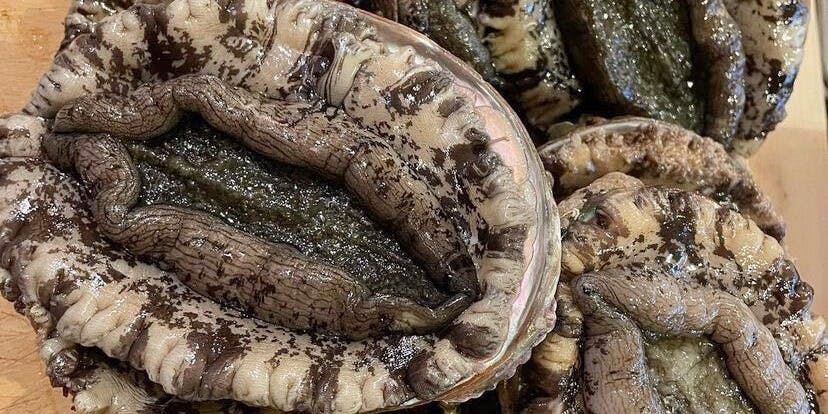 博多和食いしくら - 画像2