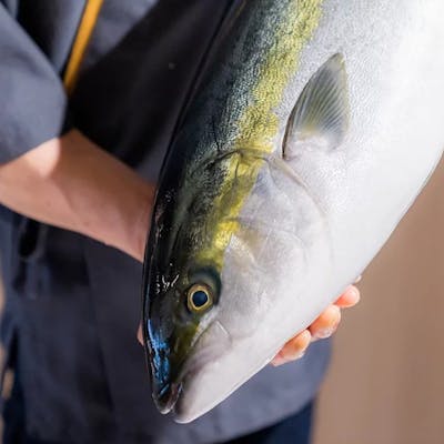 ぶりを氷温熟成することで生まれる「氷熟ぶり」