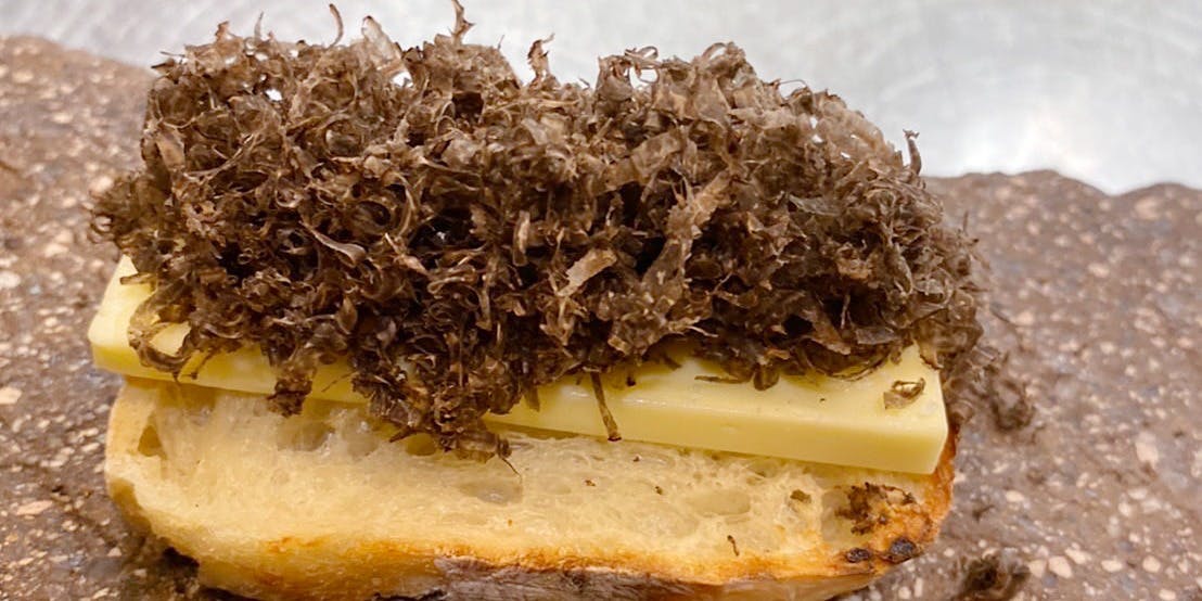 bb9（ベベック） - 画像4