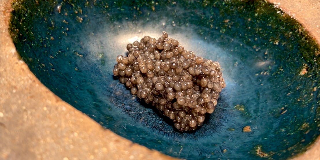 bb9（ベベック） - 画像3