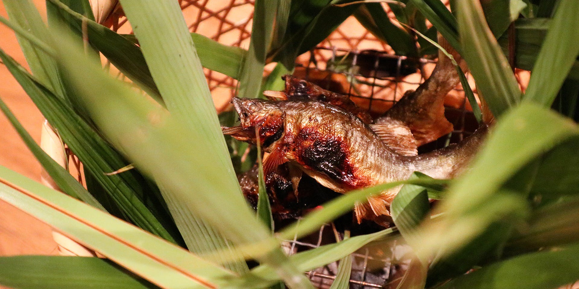和料理 蓮花寺 さいとう