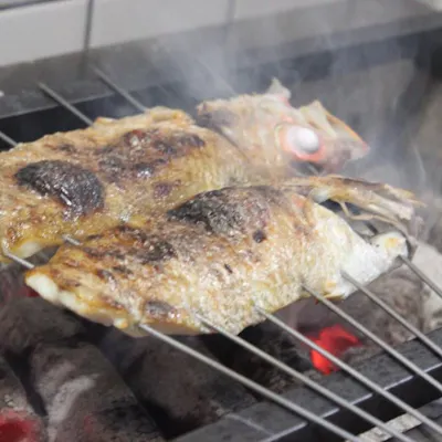 プロが目利きする極上の魚料理