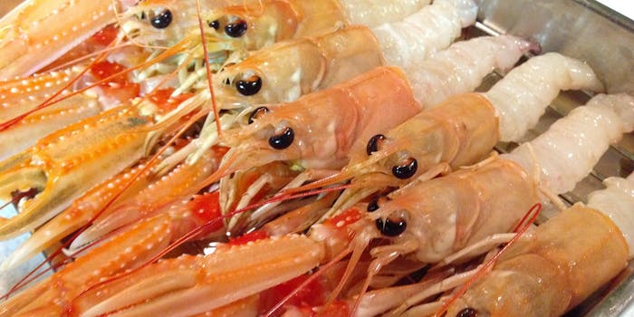 渋谷の和食が楽しめるおすすめレストラントップ 一休 Comレストラン 渋谷の和食が楽しめるおすすめレストラントップ 一休 Comレストラン