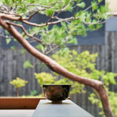 広く美しい庭は有名寺院を手がける庭師が剪定