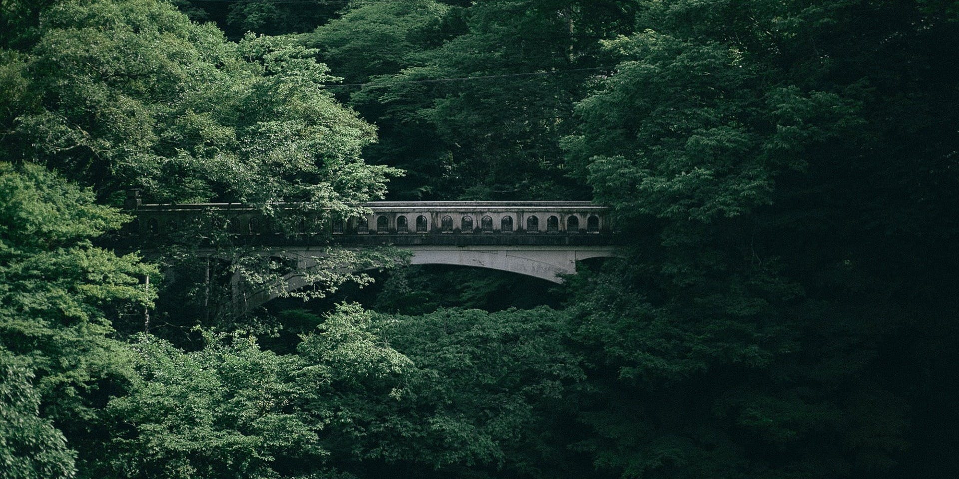 花紫 茶房／山中温泉 花紫 - 画像4