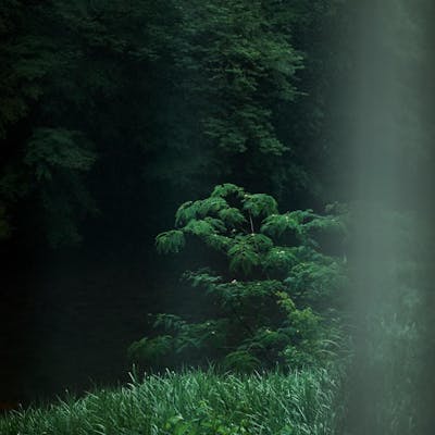 渓谷美を堪能する、和のアフタヌーンティー