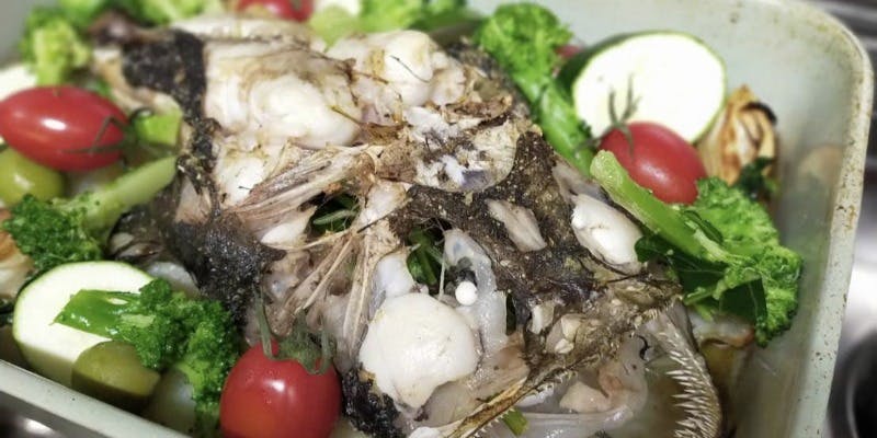 カルパッチョ、パスタ、魚料理、ドルチェ、食後のお飲み物