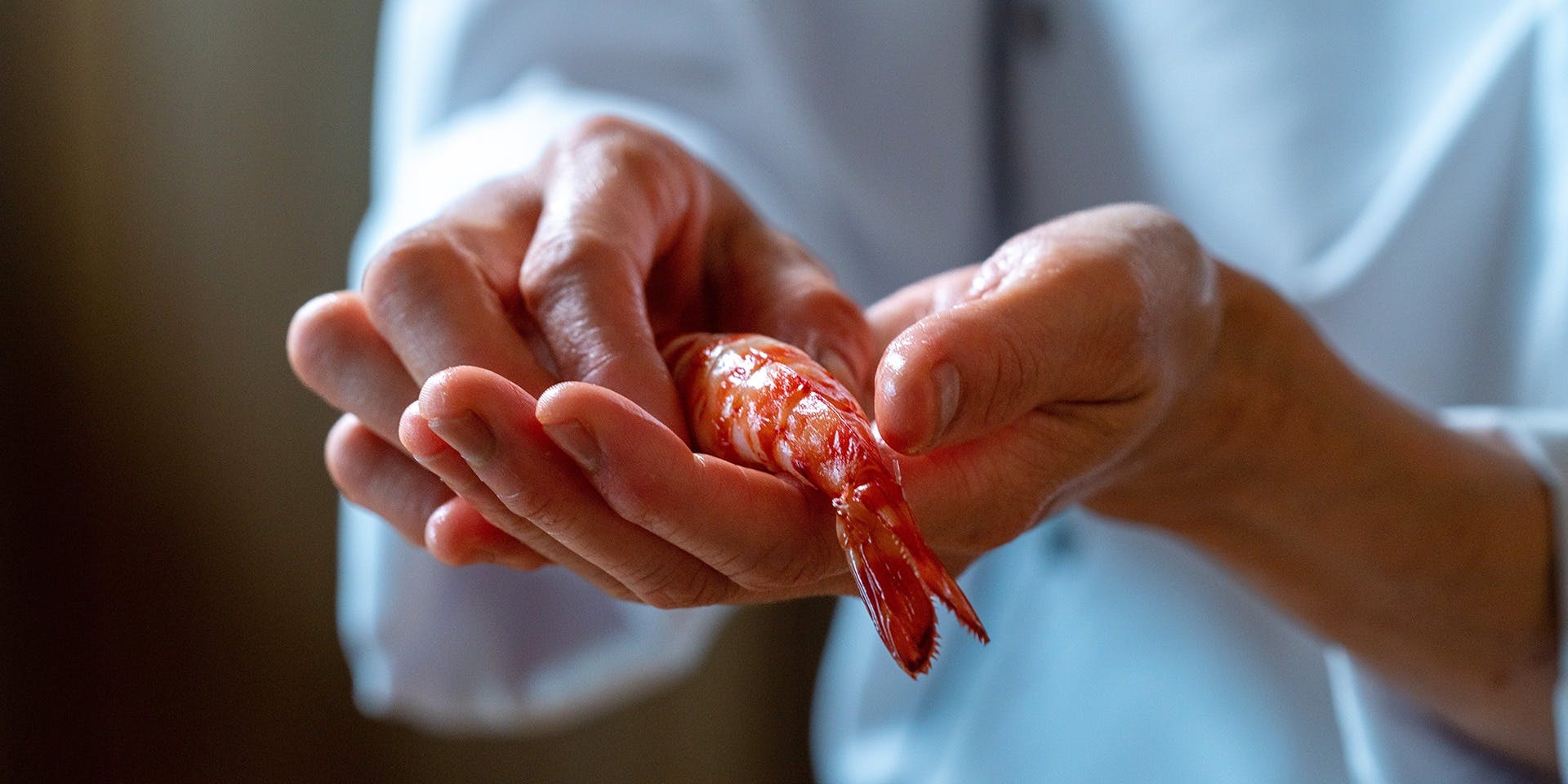 銀座 鮨 いな田 - 画像3