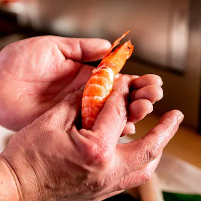 新鮮な魚介を職人が心を込めてご提供